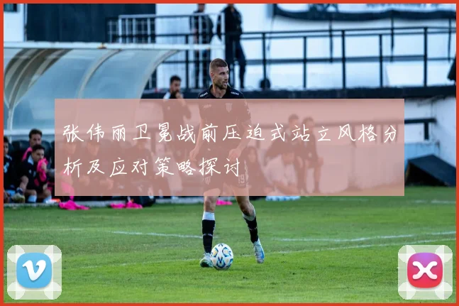 张伟丽卫冕战前压迫式站立风格分析及应对策略探讨