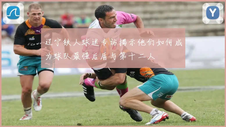 辽宁铁人球迷专访揭示他们如何成为球队最强后盾与第十二人