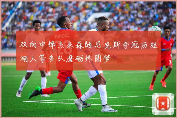 双向中锋杰米森随尼克斯夺冠历经湖人等多队磨砺终圆梦