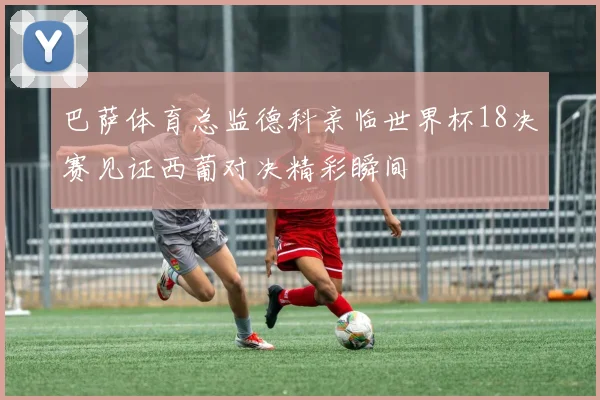 巴萨体育总监德科亲临世界杯18决赛见证西葡对决精彩瞬间